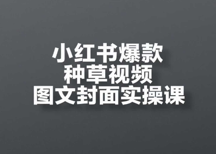 小红书爆款种草视频图文封面实操课，​开店、选品、引流、变现全流程-大齐资源站