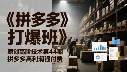 《拼多多打爆班》原创高阶技术第44期，拼多多高利润强付费-大齐资源站