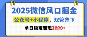 2025微信风口掘金，公众号+小程序双管齐下，单日稳定变现1k+【揭秘】-大齐资源站