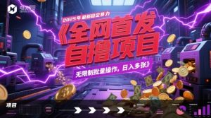 全网首发，2025年最新稳定暴力全自动自撸项目，无限制批量操作，日入多张【揭秘】-大齐资源站
