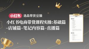 小红书电商带货课程实操:基础篇-选品篇-店铺篇-笔记内容篇-直播篇-大齐资源站