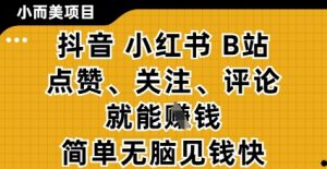 小而美的项目，抖音小红书B站视频点赞、关注、评论就能挣钱，简单无脑立见收益，妥妥的零撸项目【揭秘】-大齐资源站