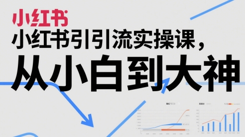 小红书引流实操课，从小白到大神-大齐资源站
