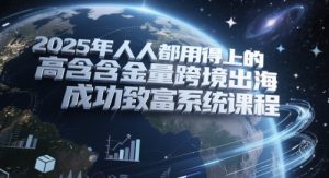 2025年人人都用得上的高含金量跨境出海成功致富系统课程-大齐资源站
