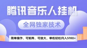 2025腾讯音乐挂G项目，全网独家技术，全新玩法，轻松月入5k+【揭秘】-大齐资源站