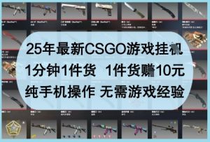 25年最新CSGO游戏挂G，1分钟1件货，1件货挣10元，纯手机操作，无需游戏经验【揭秘】-大齐资源站