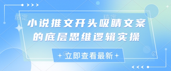 小说推文开头吸睛文案的底层思维逻辑实操-大齐资源站