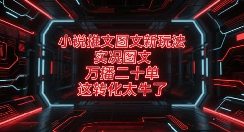 小说推文图文新玩法，实况图文，万播二十单，这转化太牛了！-大齐资源站