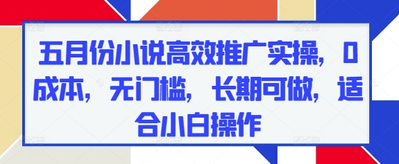 五月份小说高效推广实操，0成本，无门槛，长期可做，适合小白操作-大齐资源站