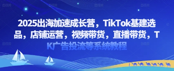 2025出海加速成长营，TikTok基建选品，店铺运营，视频带货，直播带货，TK广告投流等系统教程-大齐资源站