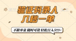 验证码录入，几秒钟一单，只需一部手机即可开始，随时随地可做，每天5张+【揭秘】-大齐资源站
