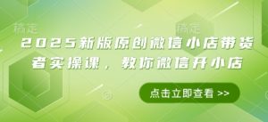 2025新版原创微信小店带货者实操课，教你微信开小店-大齐资源站
