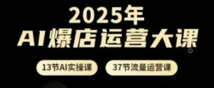 2025年AI爆店运营大课,13节AI实操课+37节流量运营课-大齐资源站