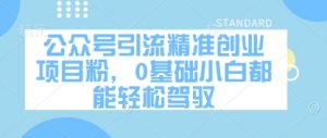 公众号引流精准创业项目粉，0基础小白都能轻松驾驭-大齐资源站