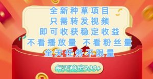 全新种草项目只需转发视频，即可收获稳定收益，不看播放量不看粉丝量，全天任务不限量，每天稳定3张【揭秘】-大齐资源站