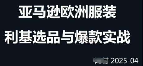 跨境电商选品案例24-25年，聚焦跨境电商选品策略与运营优化，助力卖家挖掘蓝海市场-大齐资源站