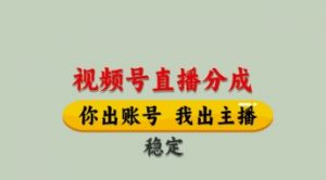 视频号直播分成，全程托管招募，单月轻松变现8k【揭秘】-大齐资源站