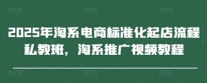 2025年淘系电商标准化起店流程私教班,淘系推广视频教程-大齐资源站