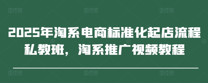 2025年淘系电商标准化起店流程私教班，淘系推广视频教程-大齐资源站