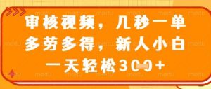 视频审核员，几秒一单，不限时间，不限地点，多做多得，新人小白一天轻松几张+【揭秘】-大齐资源站