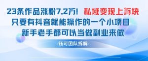 抖音私域项目23条作品涨粉7.2W，私域变现1W-大齐资源站