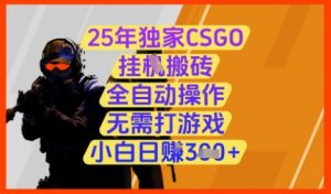 25年独家CSGO挂G搬砖，全自动操作，无需打游戏，小白日入3张+【揭秘】-大齐资源站