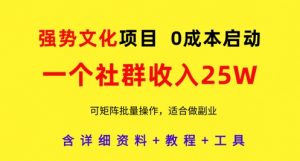 强势文化项目，一个社群收入25个W，0成本启动，可矩阵批量操作，原创详细实操教程-大齐资源站