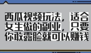 西瓜视频玩法，适合女生做的副业，只要你敢露脸就有收益-大齐资源站