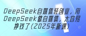 DeepSeek自媒体轻创业,用DeepSeek做自媒体,太容易挣钱了(2025年新课)-大齐资源站