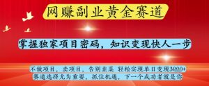 网创副业黄全赛道，掌握独家项目密码，知识变现快人一步，告别韭菜轻松实现单日变现1k+【揭秘】-大齐资源站
