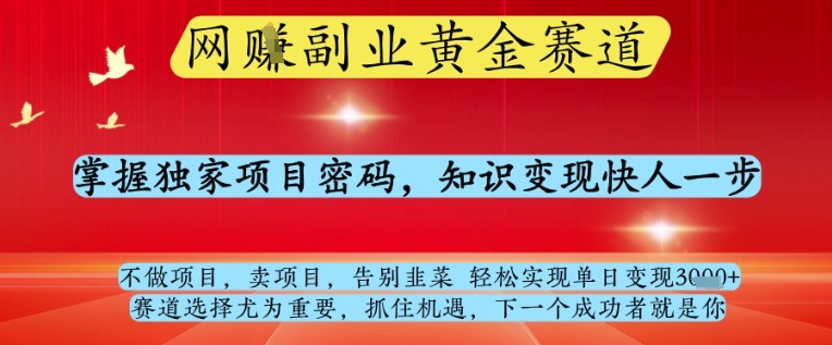 网创副业黄全赛道，掌握独家项目密码，知识变现快人一步，告别韭菜轻松实现单日变现1k+【揭秘】-大齐资源站