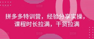 拼多多特训营，经验分享实操，课程时长拉满，干货拉满(更新25年4月)-大齐资源站