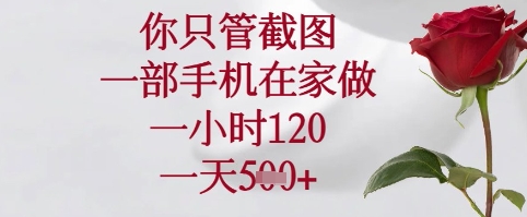 你只管截图，一部手机在家可以做，一小时120.一天5张+【揭秘】-大齐资源站