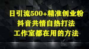 日引流500+精准创业粉，抖音共情自热打法，工作室都在用的方法-大齐资源站