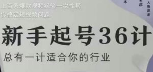 新手起号36计2.0,四年行业沉淀,上百条爆款视频经验一次性帮你搞定短视频问题-大齐资源站