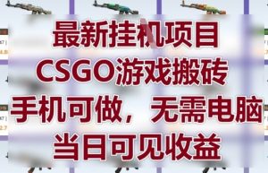 最新挂G项目，CSGO游戏搬砖，手机可做，无需电脑，当日见收益【揭秘】-大齐资源站
