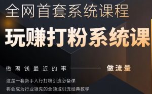 2025行业首套全网全域打粉系统神课，做流量做离钱最近的事，一套新手入行打粉引流必备课-大齐资源站