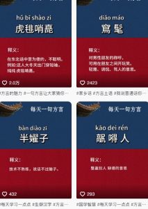 抖音最新涨粉玩法，图文方言暴力涨粉实操，126作品涨粉11W-大齐资源站