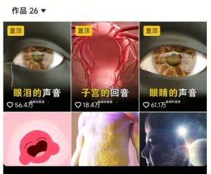 抖音坚果3D动画科普项目，撸视频号分成和抖音伙伴计划，适合零基础小白-大齐资源站