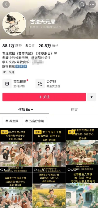 古法五音养生教程，五音疗愈的视频的制作方法，2-4小时就能学会，作者10天涨粉10W-大齐资源站