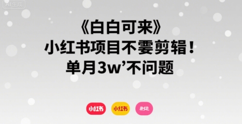 小白可来 小红书项目不需要剪辑 单月3w不是问题-大齐资源站