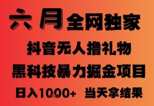 25年6月抖音无人直播最新暴力撸音浪掘金，小白可做，可批量矩阵放大，长期稳定日入1k+【揭秘】-大齐资源站