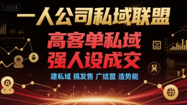 一人公司私域联盟，高客单私域，强人设成交，建私域 搞发售 广结盟 造势能-大齐资源站