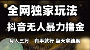 全网独家玩法抖音无人暴力撸金，月入3W，有手就行，当天拿结果【揭秘】-大齐资源站