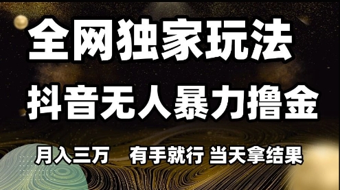 全网独家玩法抖音无人暴力撸金，月入3W，有手就行，当天拿结果【揭秘】-大齐资源站