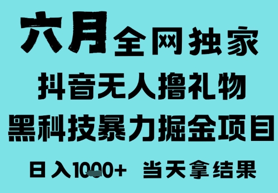 25年6月高爆抖音无人直播最新撸音浪掘金项目，门槛低小白可做，无脑日入1k，可矩阵放大【揭秘】-大齐资源站