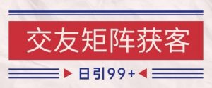 小红书某音交友赛道引流获客 自热矩阵日引200+【揭秘】-大齐资源站