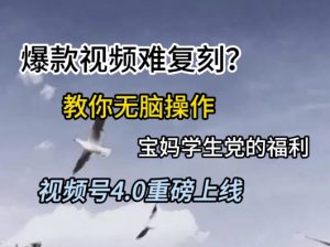 视频号4.0重磅上线，爆款视频难复刻？教你无脑操作宝妈学生党的福利【揭秘】-大齐资源站