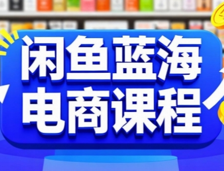 闲鱼蓝海电商课程，手把手助你快速上手，轻松实现闲鱼稳定盈利-大齐资源站