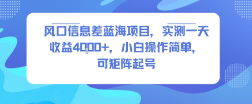 风口信息差蓝海项目，实测一天收益4k+，小白操作简单，可矩阵起号-大齐资源站